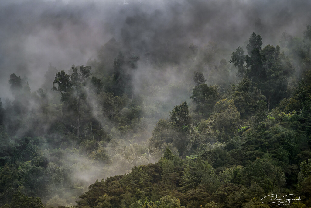 Low Lying Cloud by yorkshirekiwi