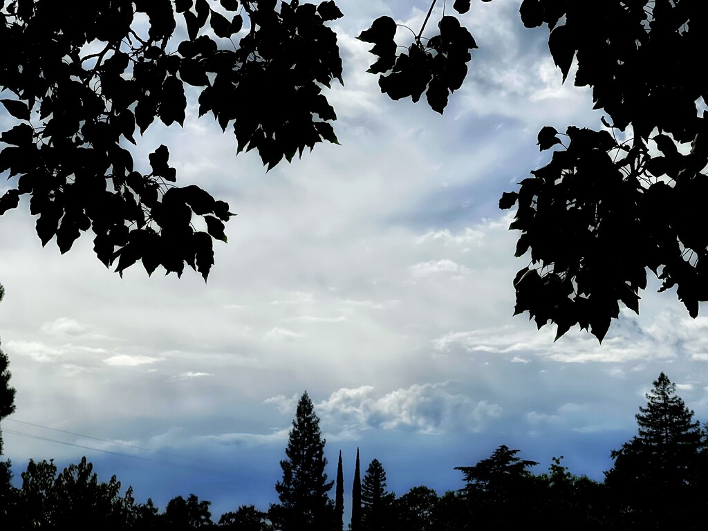 Clouds Are The Playground of The Sky by gardenfolk