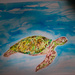 Turtle art