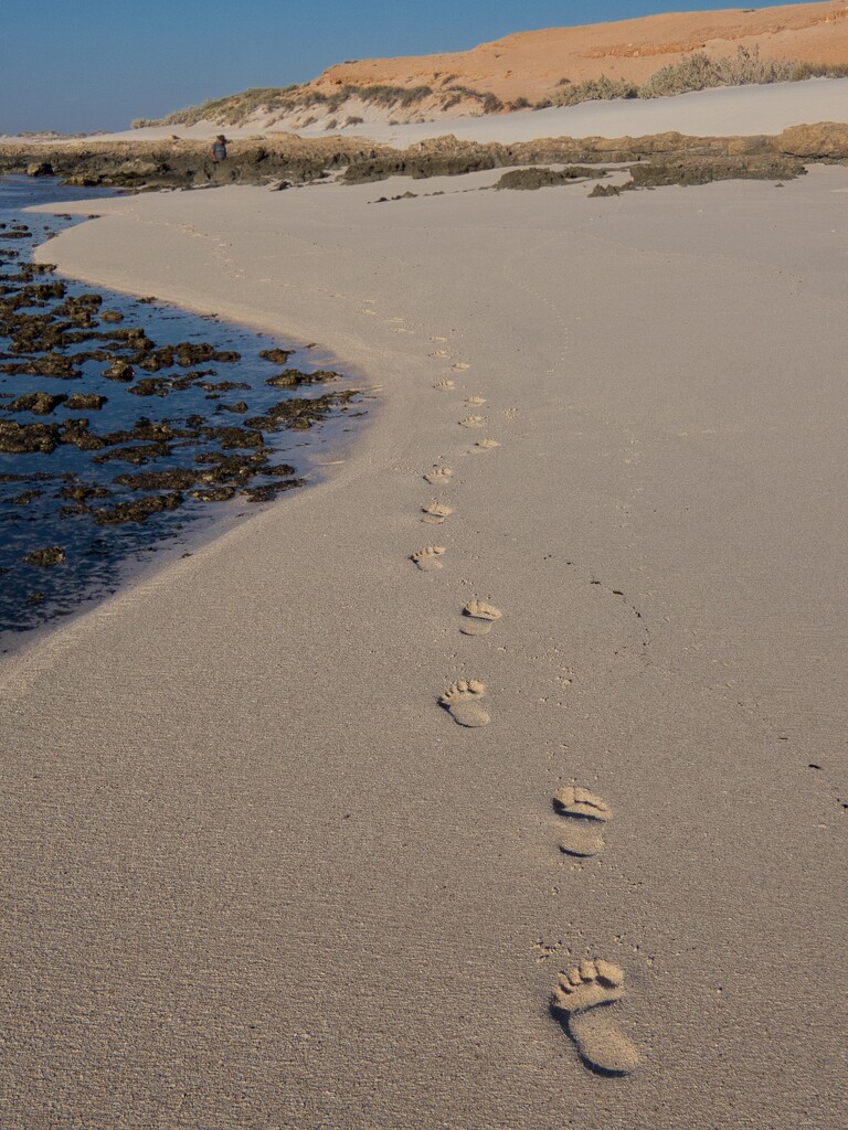 Leave Nothing But Footprints  P9192197 by merrelyn