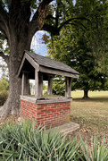 16th Sep 2024 - Old Well