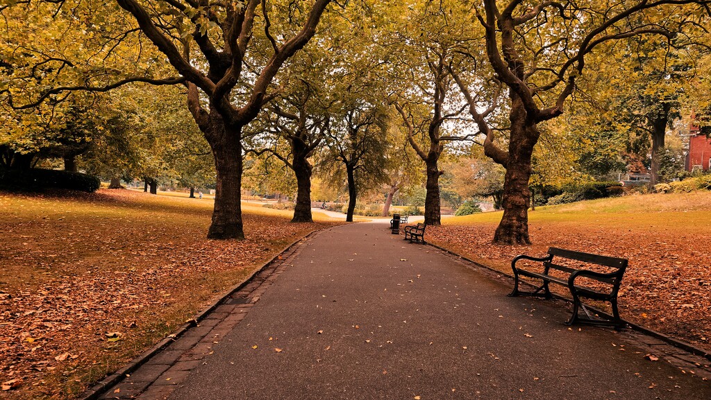 264/366 - Weston Park by isaacsnek