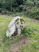 20th Sep 2024 - Stone