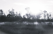 20th Sep 2024 - Fog