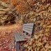 A Bench in Autumn