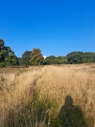 20th Sep 2024 - Pathway  to a cloud