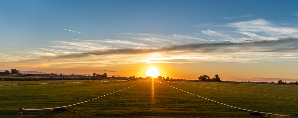 Golden Horizon by veronicalevchenko