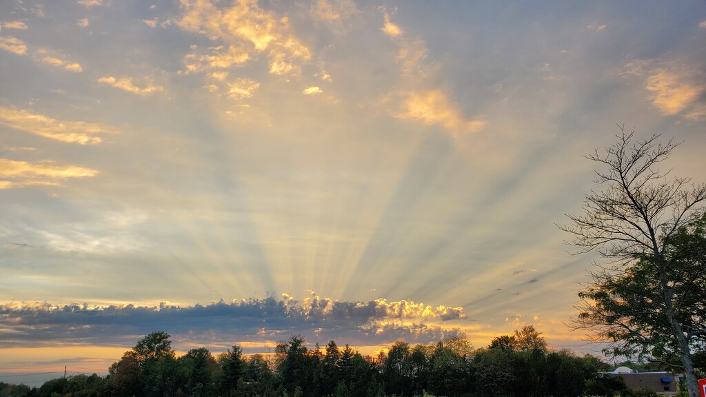 Heaven's Rays by alophoto