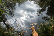 20th Sep 2024 - Stop for a Drink