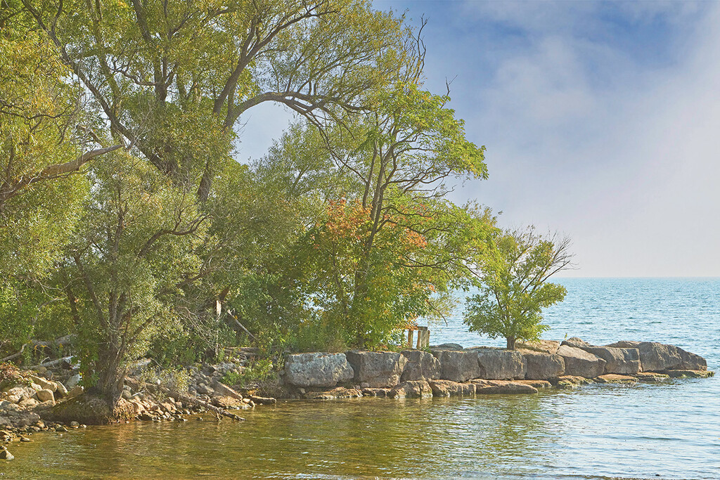 Another Lakeside Park by gardencat