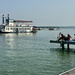 Phone-absorbed on the dock