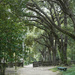 LSU Rural Life Museum