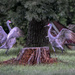 Dancing Cranes