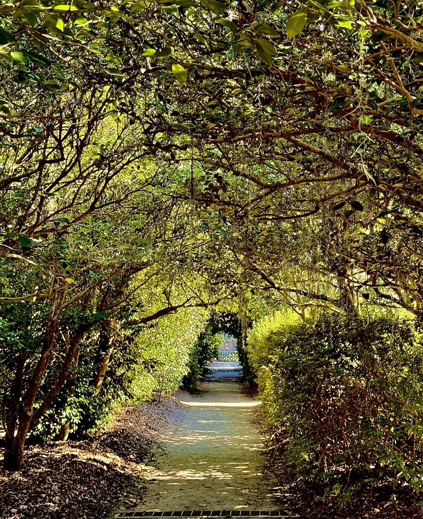 Portal, Middleton Place, Charleston by congaree