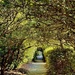 Portal, Middleton Place, Charleston