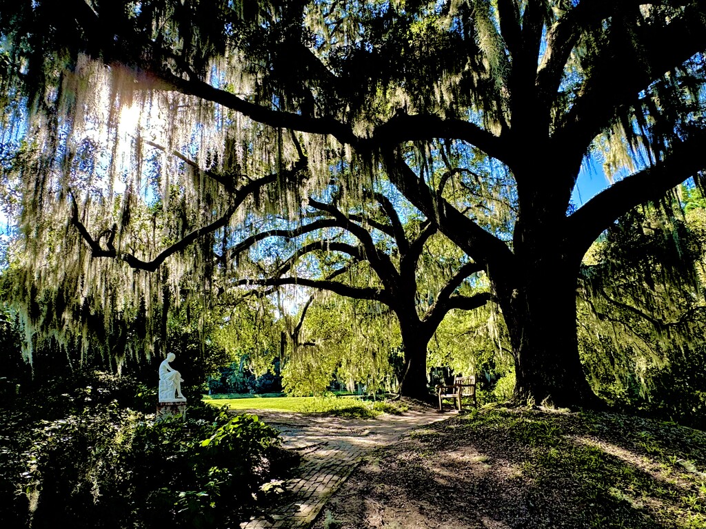 Middleton Place, Charleston  by congaree