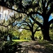 Middleton Place, Charleston 