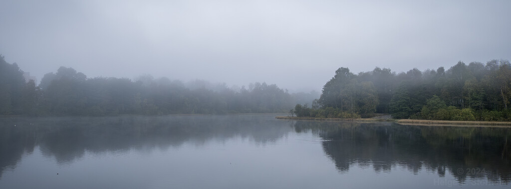 Misty morning by helstor365