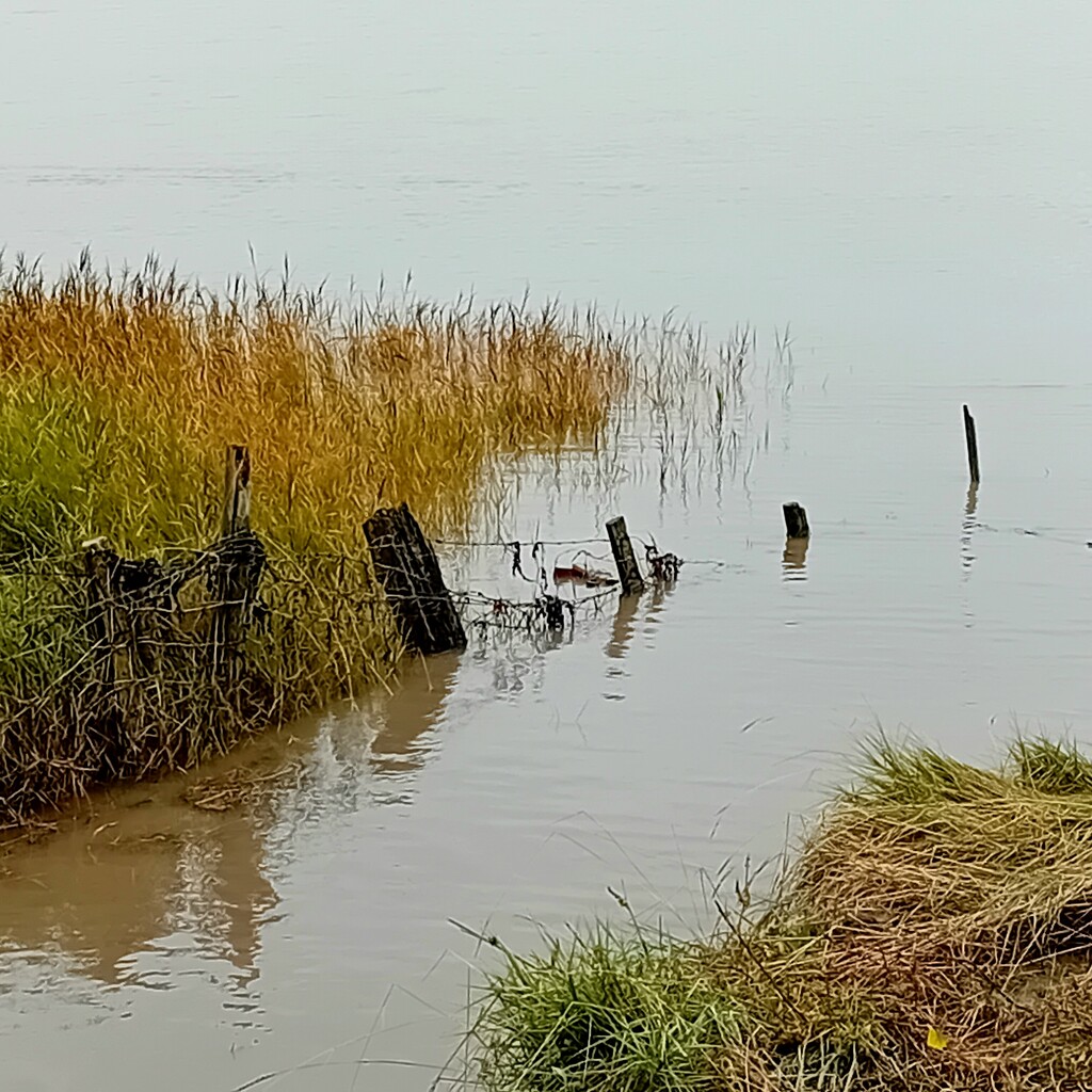 Fence in the river by flowerfairyann