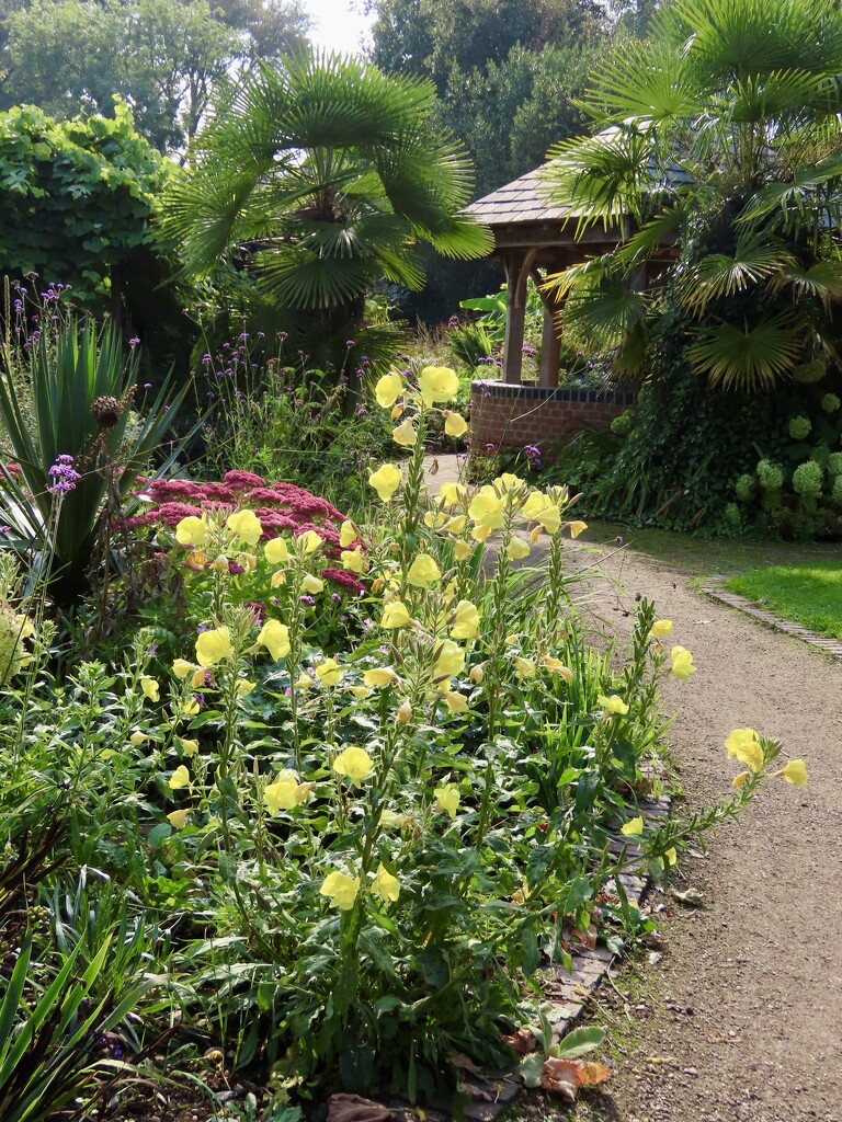 Autumn in Elford Walled Garden by orchid99