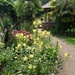 Autumn in Elford Walled Garden