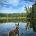 Maybury State Park 