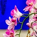 Orchids in Blue 