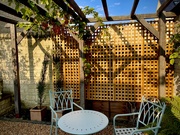 21st Sep 2024 - The new trellis