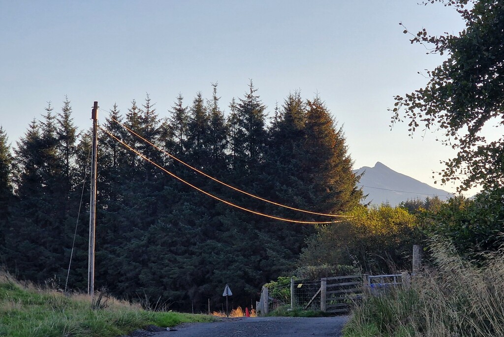 telephone line glow by christophercox