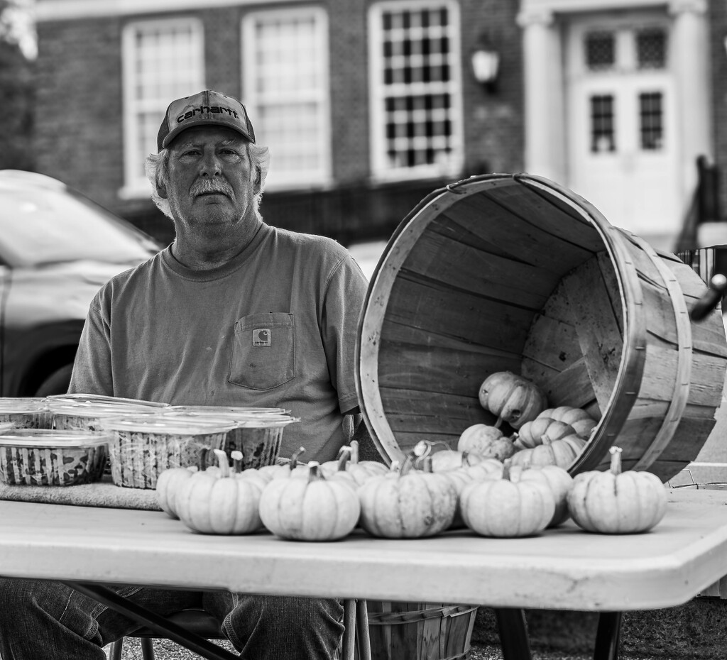 Bower Farms by darchibald