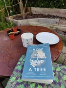 21st Sep 2024 - Tea and a read in the garden this morning