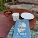 Tea and a read in the garden this morning