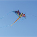 Large Dragon Kite