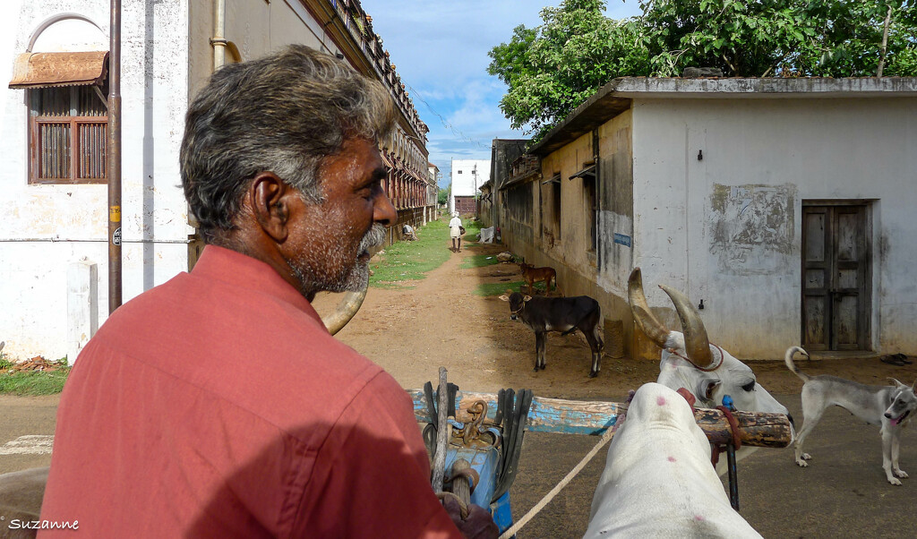 Chettinadu, India 2017 by ankers70