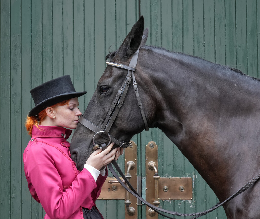 The Horse Whisperer by phil_howcroft