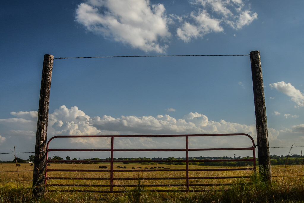 Farm Gate by kareenking