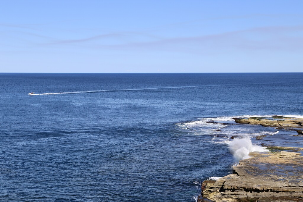 Terrigal by jools