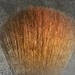 Oval Mop Brush