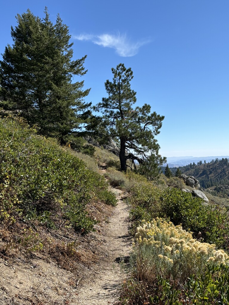 A blue sky day for hiking by pirish