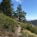 A blue sky day for hiking