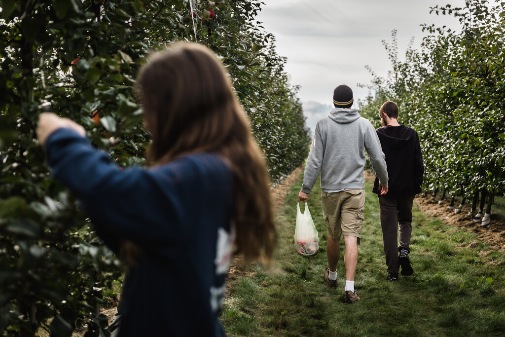 Apple Picking Day by tina_mac