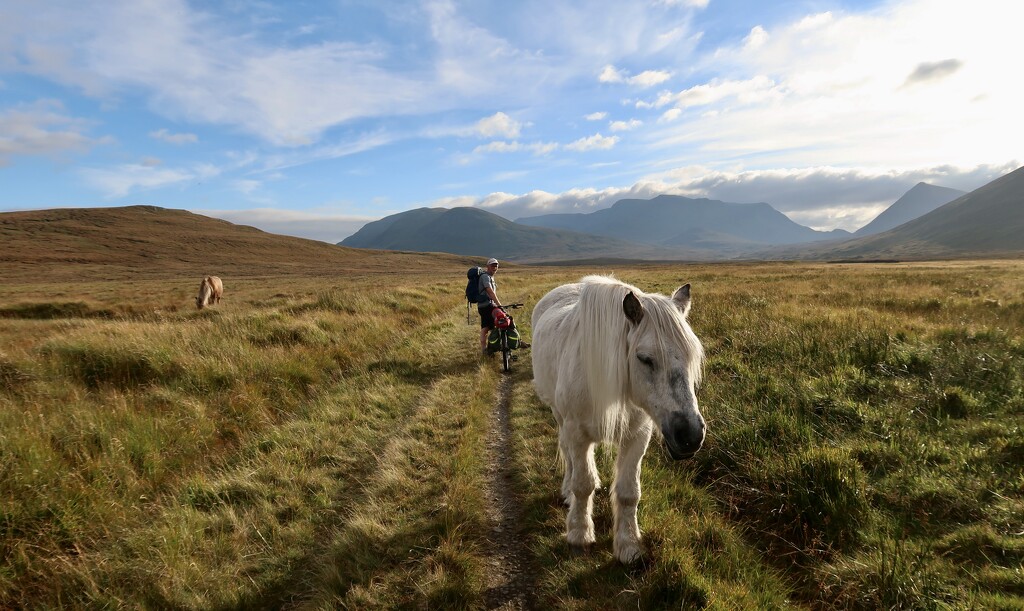 Cycling in to Culra Bothy by jamibann