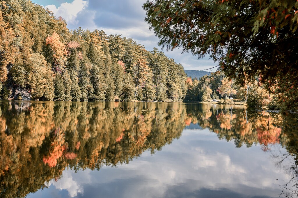 Beaver Pond by corinnec