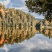 Beaver Pond