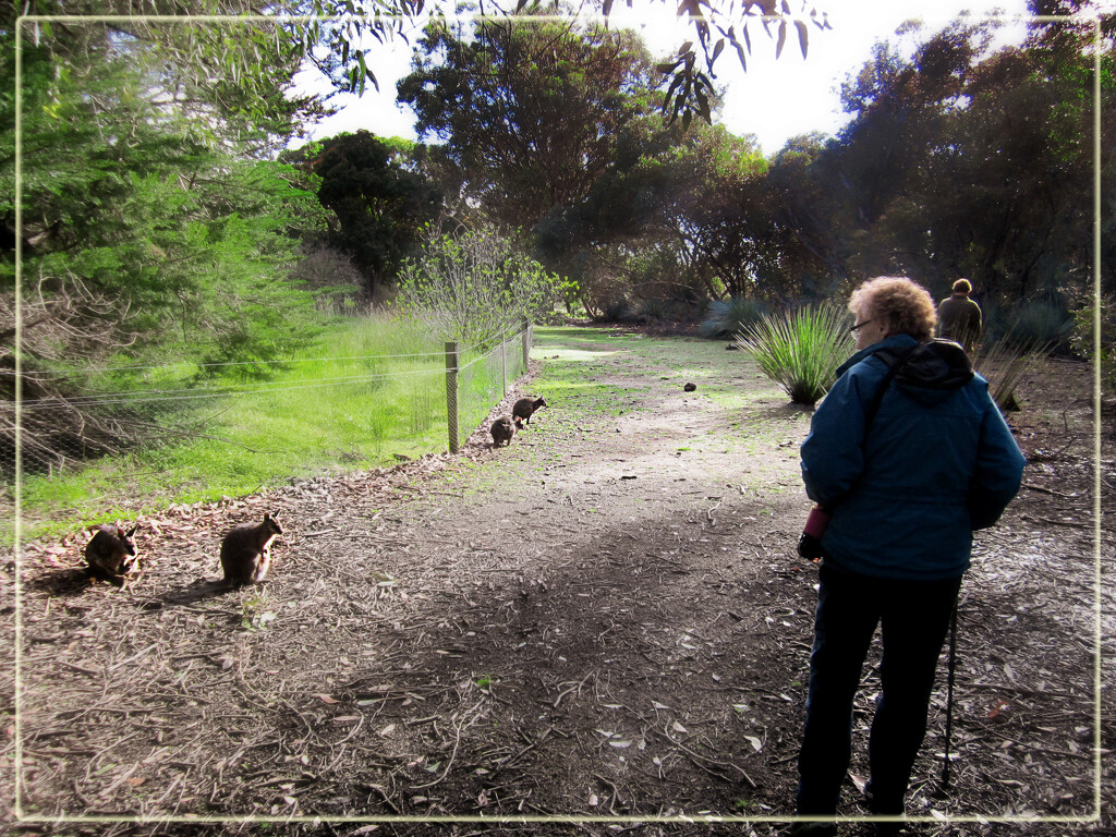 Still on Kangaroo Island by 365projectorgchristine