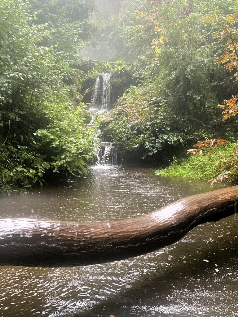 September rain by cam365pix