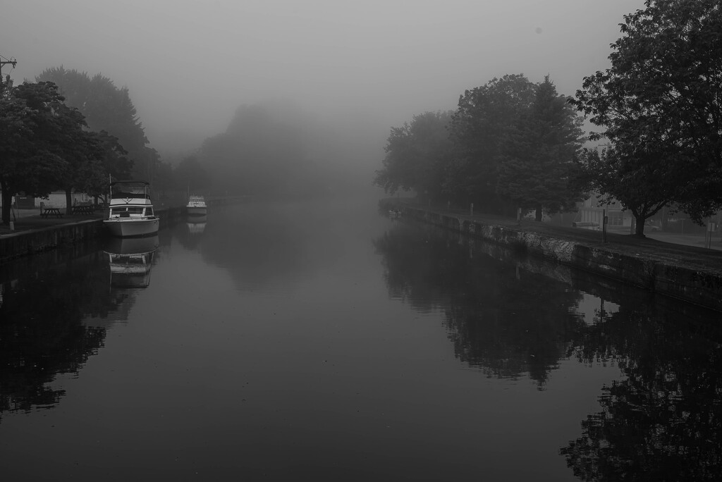 Morning Mist-2 by darchibald