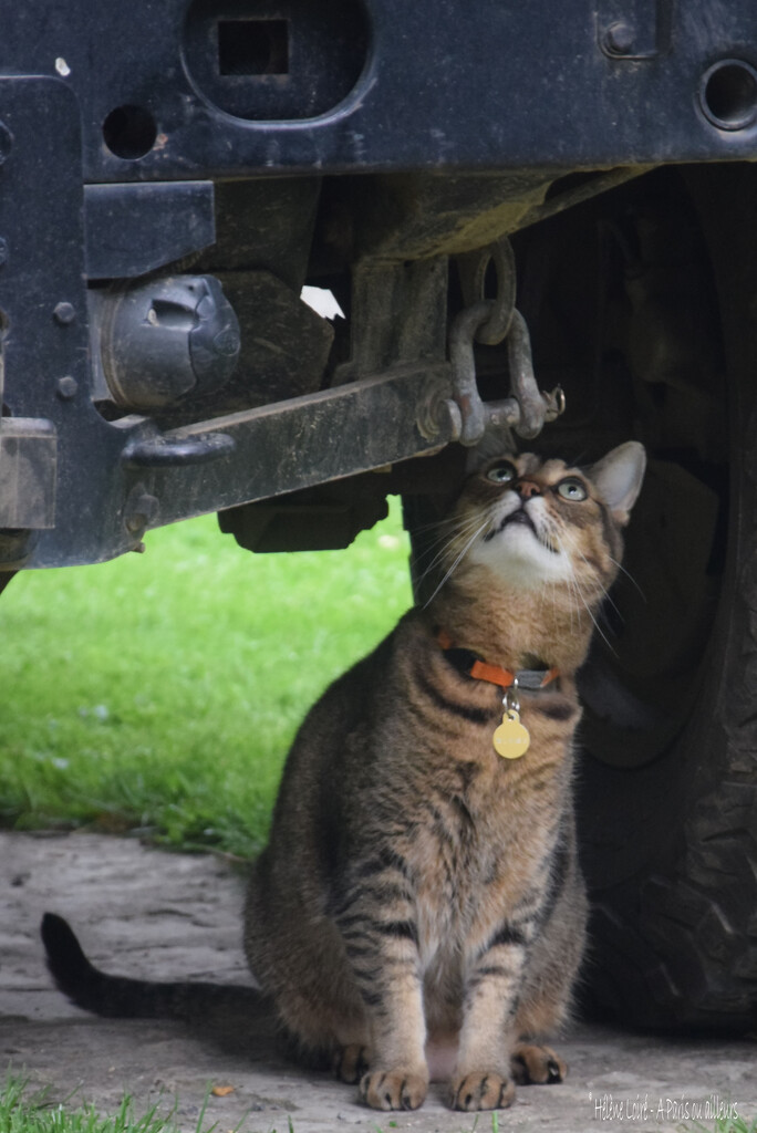 the cutest mechanic by parisouailleurs