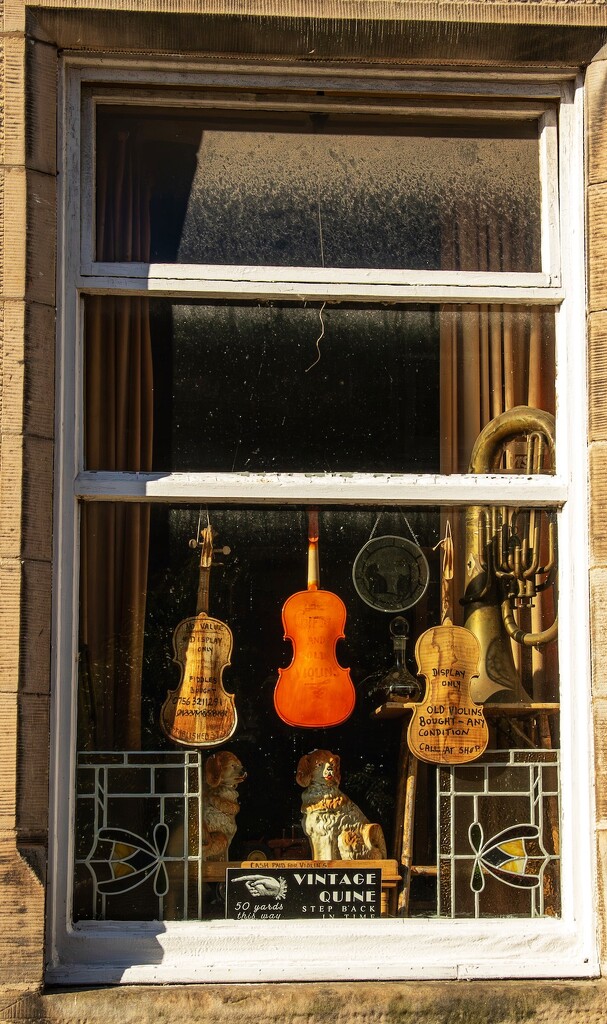 Violins bought and sold! by billdavidson