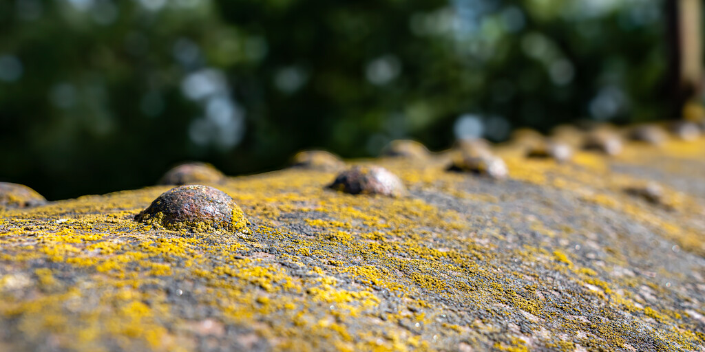 Creeping Corrosion  by hannahcallier